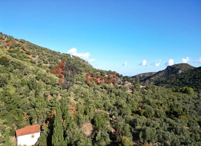 Image No.8-Property for sale