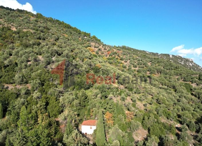 Image No.9-Property for sale