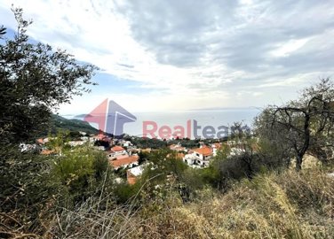 imgd6e96872-142c-4961-8426-96a0c6d7f51d