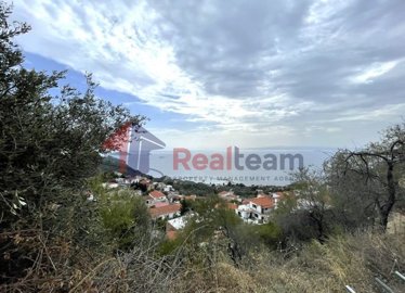 img9f89c61f-eea8-4462-a3ce-ad2a2a2eb3c9