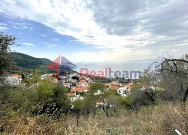 img9791e658-2087-46c8-9c8c-4b14876ff483