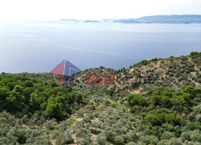 Image No.10-Property for sale