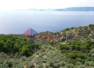 img69fb45fd-07c0-446e-8b5e-a0df2a951b8e