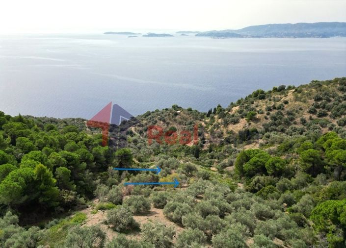 Image No.11-Property for sale