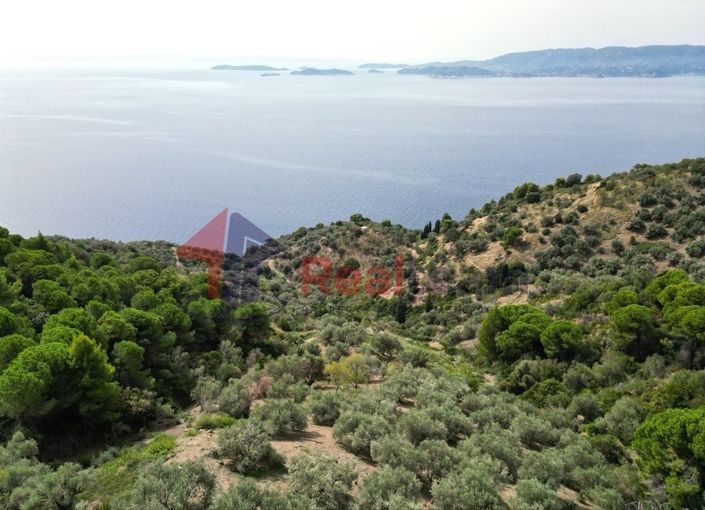 Image No.12-Property for sale