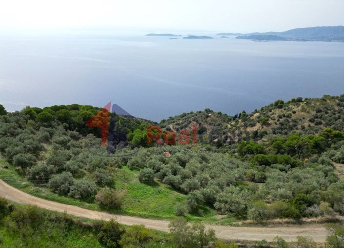 Image No.13-Property for sale