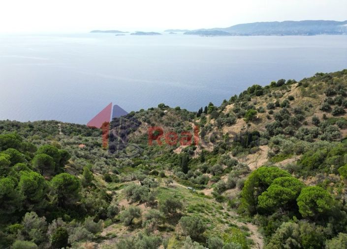 Image No.15-Property for sale