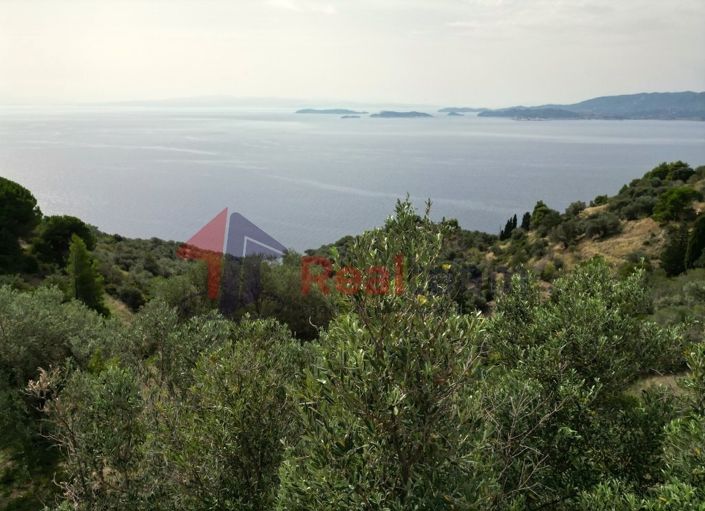 Image No.16-Property for sale