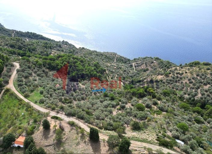 Image No.2-Property for sale