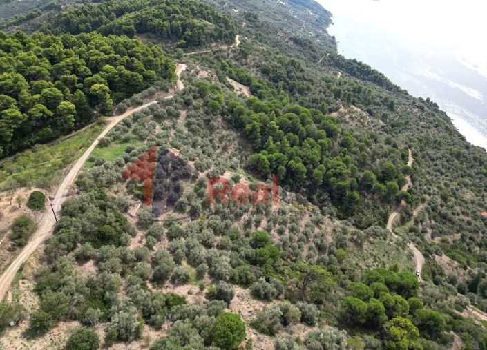 Image No.3-Property for sale