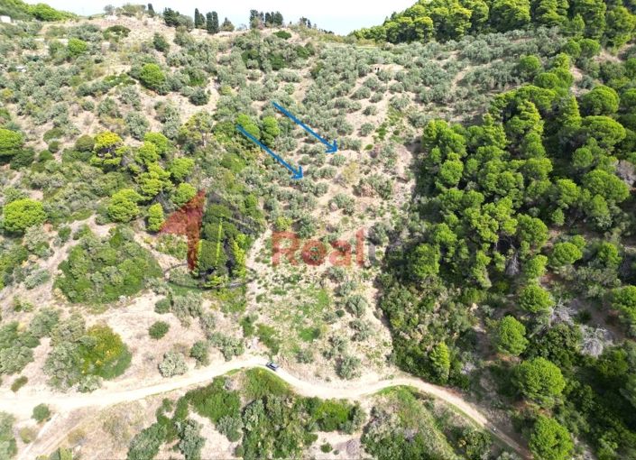 Image No.4-Property for sale