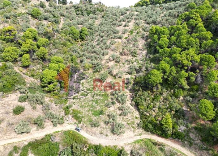 Image No.5-Property for sale