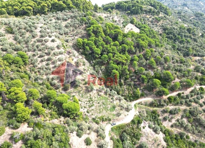 Image No.6-Property for sale