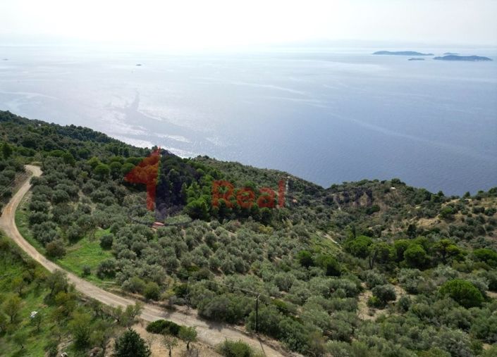 Image No.9-Property for sale