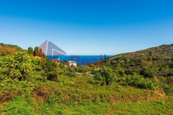 Image No.4-2 Bed Property for sale