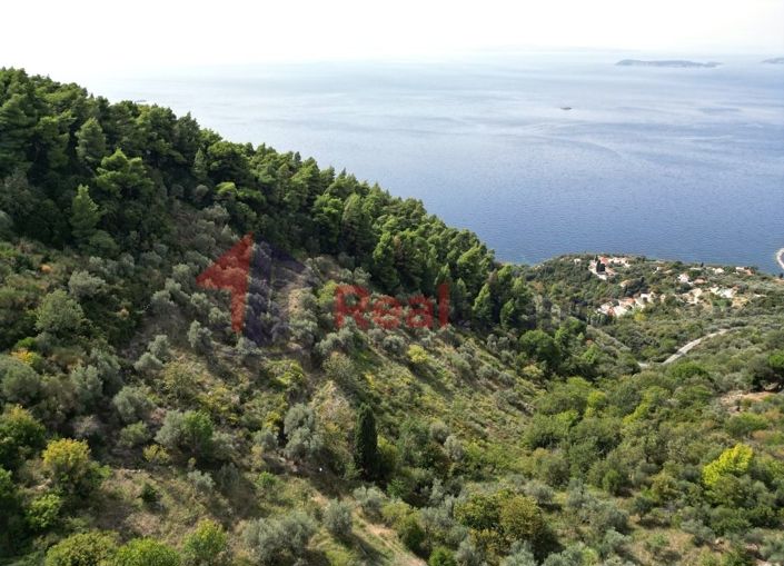 Image No.10-Property for sale