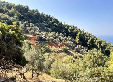 img69a4a442-1981-448c-ac62-6da314bb03d8