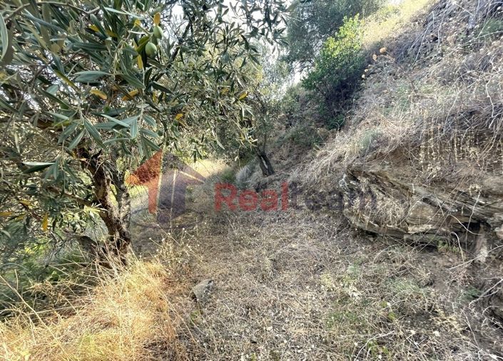 Image No.20-Property for sale