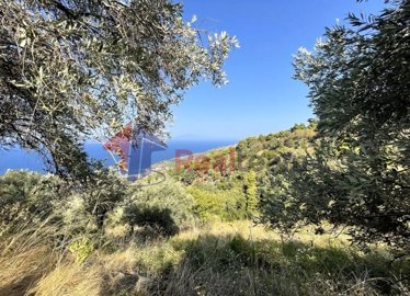 img9cc0f87b-cbb2-40cf-9bf4-cdba65495ce8