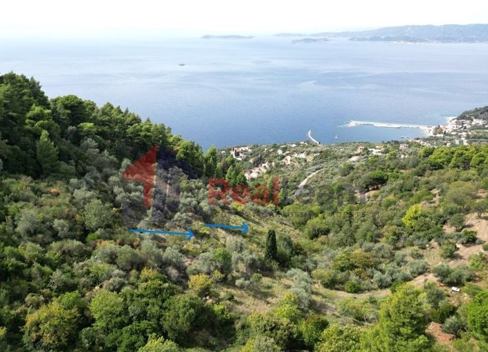 Image No.4-Property for sale