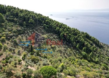 img1ab7c416-a8a0-4177-b2a7-fdbea67c643e