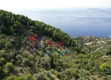 img831afef8-503a-49bc-9040-e1589aa30373