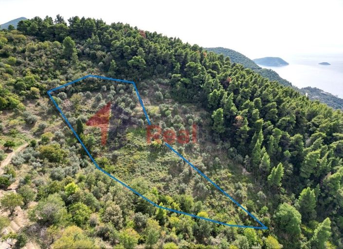 Image No.7-Property for sale