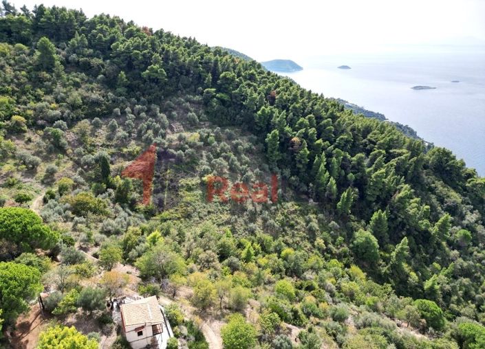 Image No.9-Property for sale