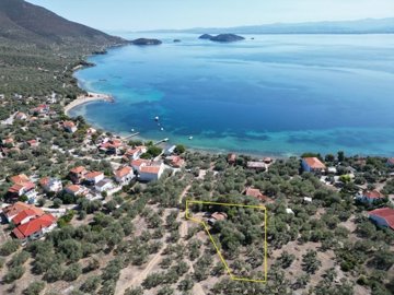 imgc1e2bb83-0397-4821-af7d-09e903800e31