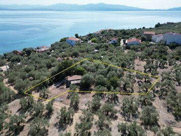 img70bf75ca-e297-4b60-9d6d-e9c3468f5750