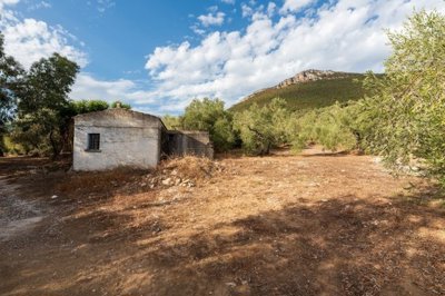 imgd481fa00-88e0-4967-acc0-f3418f000fdc