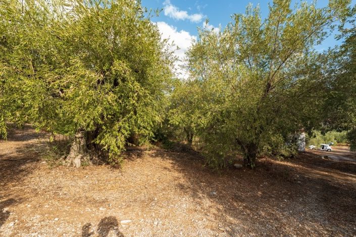 Image No.9-1 Bed Property for sale