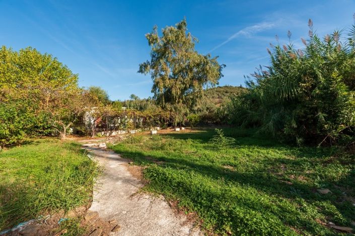 Image No.1-Property for sale