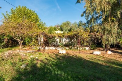 img69c6119d-64e4-4c65-963f-9ac22468b8dd