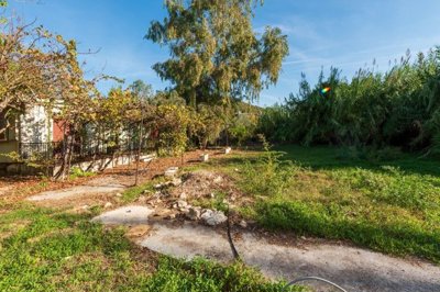 img2564d285-3fc9-4844-9c0d-aba1d5cf1984