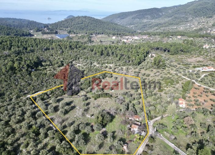 Image No.1-Property for sale