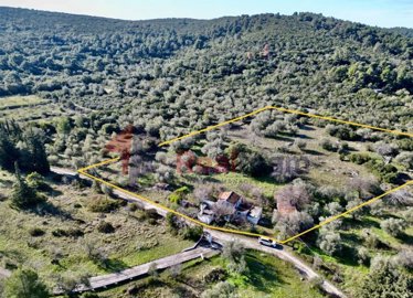 df40ab9ef9b54345b1a6e960048dc4f4