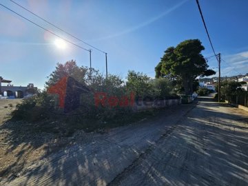 img5dc0081a-0701-41eb-9ff2-88ff48d4e997