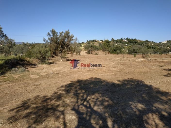 Image No.2-Property for sale