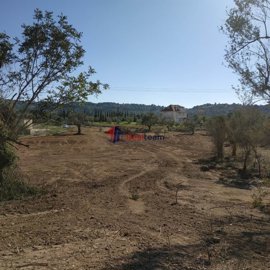 imgde54157d-5c6c-45f2-bb95-2b7fe21a42f7