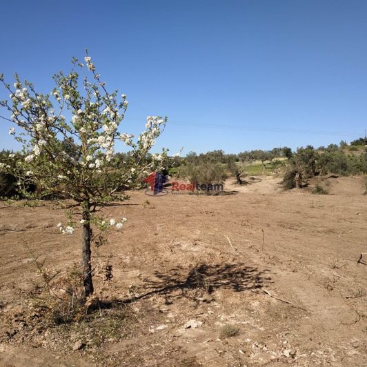 Image No.4-Property for sale