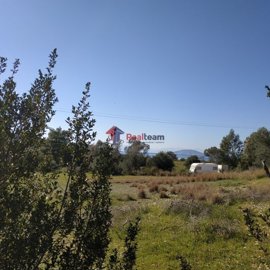 imgac0cc84e-e785-4447-9475-fcaa68010098