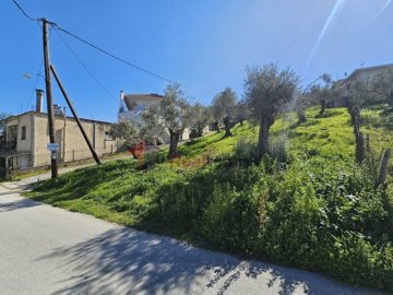 img248900c9-7bff-4b92-8176-727f56cf2b63