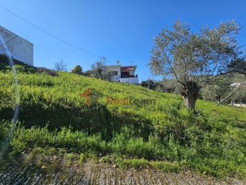 imgf8376e69-68e8-4fb9-9fdb-dfa24a23202f