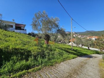 img959d4e83-8fe8-47e3-b674-6d04b6451151