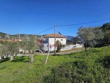 imga1832474-5f31-4d3b-9b81-9770ae909639