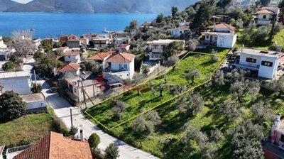 img6958abf7-1b4f-468e-90ef-a5f73563258f