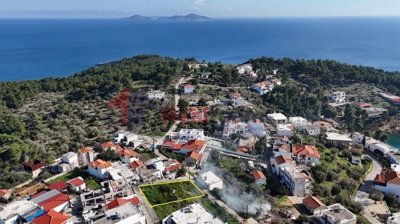 imgd3109600-5663-4ed6-be5e-8483ff5b7e74