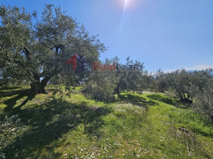 Image No.11-Property for sale