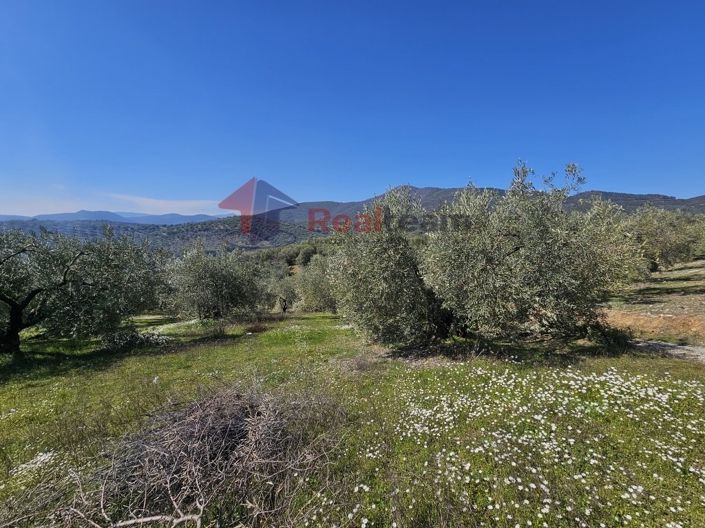 Image No.12-Property for sale